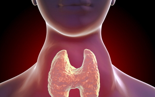 Soothing the Storm: Thyroid Inflammation Management - Pulsetto