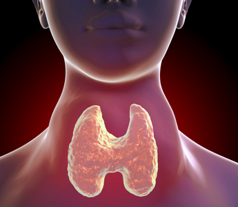 Soothing the Storm: Thyroid Inflammation Management - Pulsetto