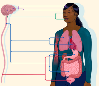Best Ways to Reduce Anxiety with Parasympathetic Boost