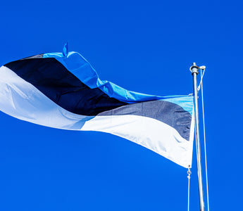 Best Vagus Nerve Stimulation Devices in Estonia - Pulsetto