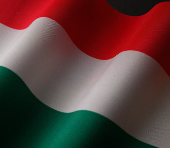 Best Vagus Nerve Stimulation Devices in Hungary - Pulsetto