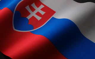 Best Vagus Nerve Stimulation Devices in Slovakia - pulsetto