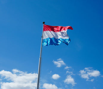 Best Vagus Nerve Stimulation Devices in Luxembourg - Pulsetto