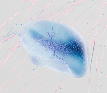 Best Biohacking Products in 2026 - Pulsetto