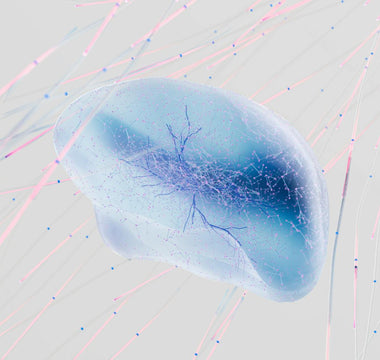 Best Biohacking Products in 2026 - Pulsetto