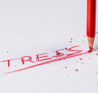Best Stress Relief Products in 2026 - Pulsetto