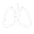 Lungs